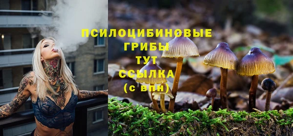 гашик Баксан