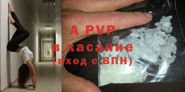 гашик Баксан